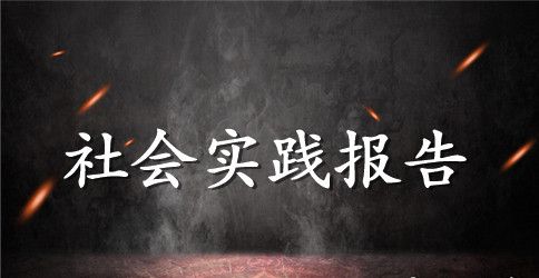 大学生回访母校社会实践报告