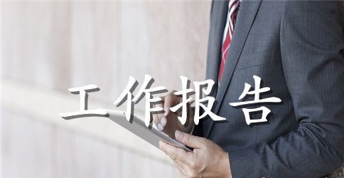 施工进度工作报告优秀范文