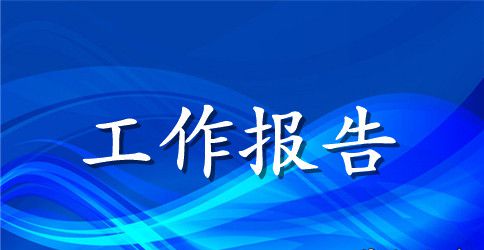 发票检查的工作报告