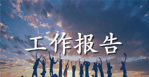 关于党委工作报告