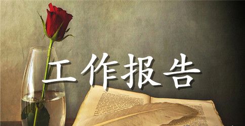 技术工作总结报告范文3篇