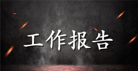 党办主任工作报告