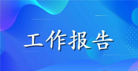 阜阳政府工作报告
