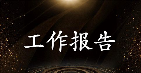 烟花爆竹治理工作报告