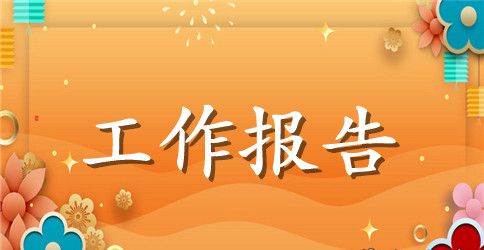 民办非企业年度工作报告