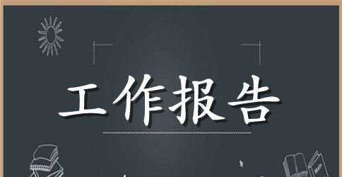 实用专业技术工作报告