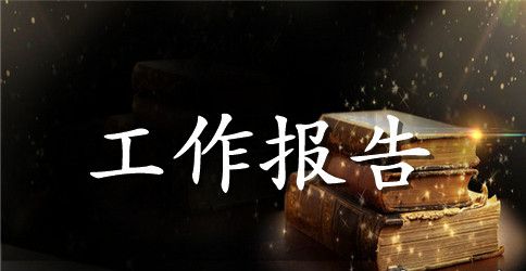 2023年换届选举工作报告范文