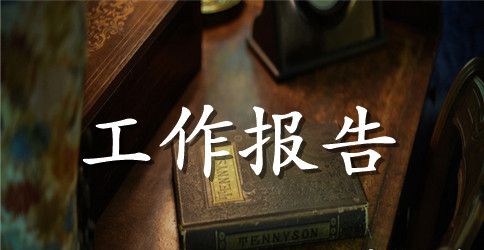 县电力局党建工作报告
