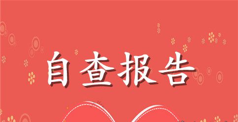 减负提质自查报告