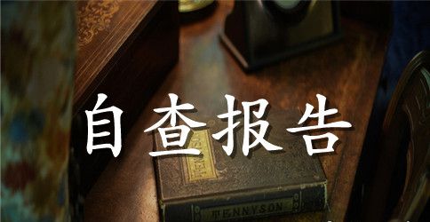 乡镇安全生产自查报告