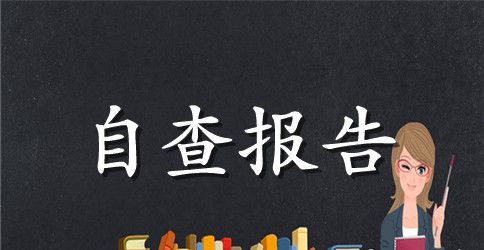 推广双随机一公开自查报告