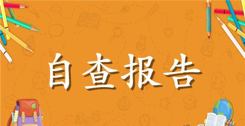 党建自检自查报告