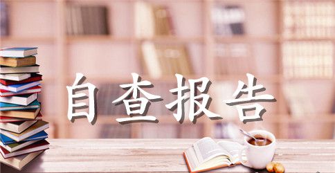 企业自查报告合集九篇