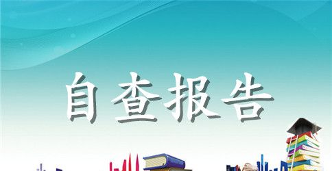 县统计执法检查自查报告