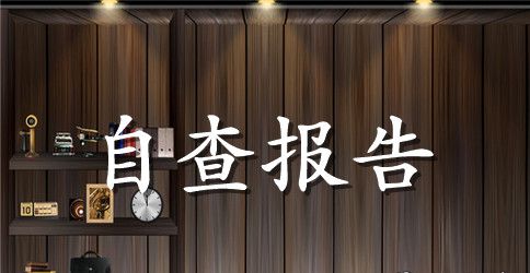 规划局绩效考评自查报告