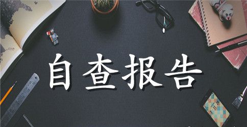 民办幼儿园年度工作总结自查报告