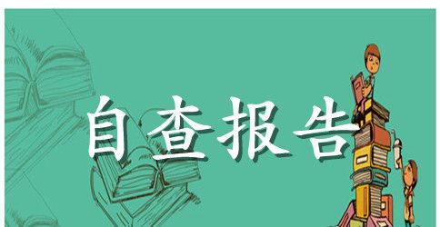 地方政务工作自查报告
