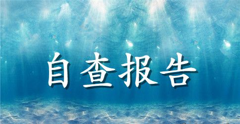 减轻小学生负担工作自查整改报告