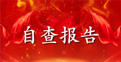 过村中学关于课程实施水平的自查报告
