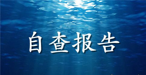 换届选举工作自查报告