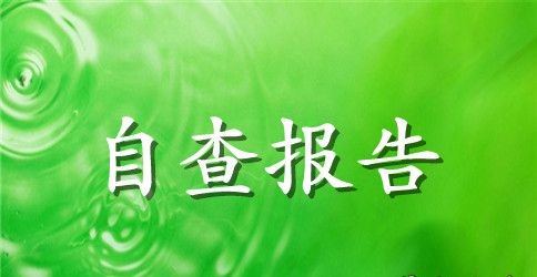 2023环保局推进政府自身建设情况自查报告