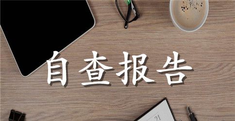 自来水公司营销部自查报告