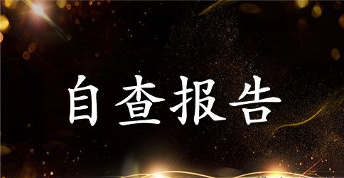 公司精神文明自检报告