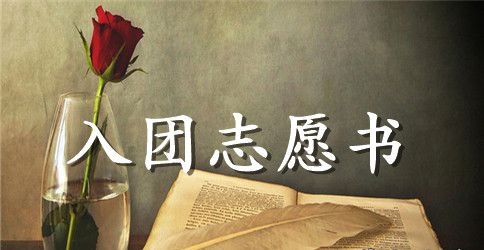 2023初中生入团志愿书范文300
