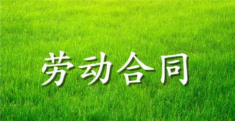 关于劳动合同模板集锦八篇