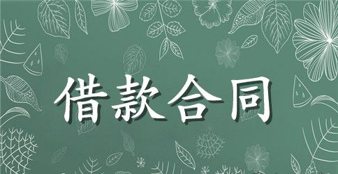 小额贷款公司借款合同书范本