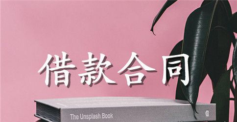 【实用】公司借款合同4篇