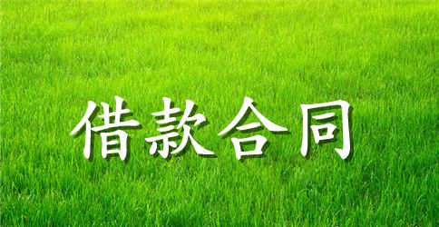 最新中国农业银行信用借款合同