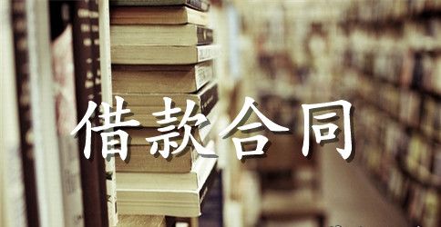 个人标准借款合同范本