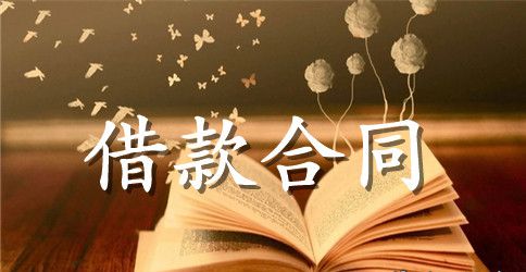 企业借款申请书代借款借据