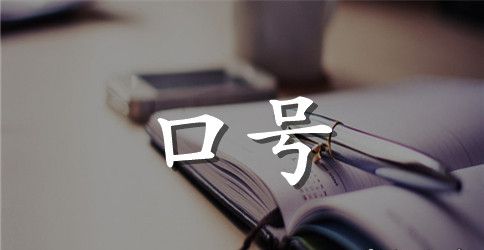 植物角宣传标语