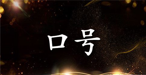 精选服务口号大全