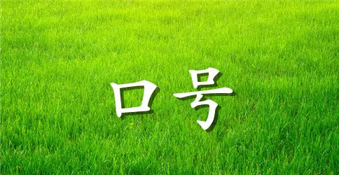 高三冲刺高考励志口号