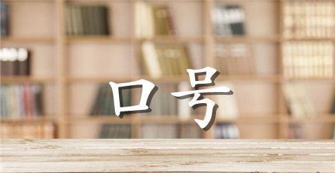 互联网员工激励口号三篇