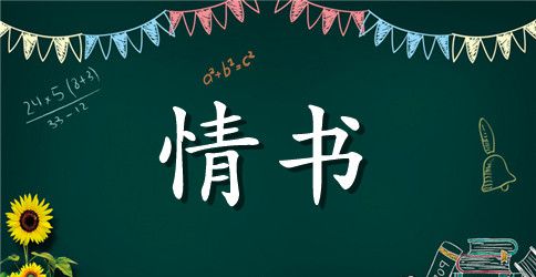 给对象的情书
