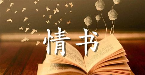 真情实感的感人情书
