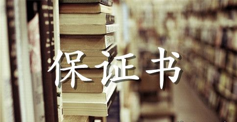 玩手机保证书范文500字