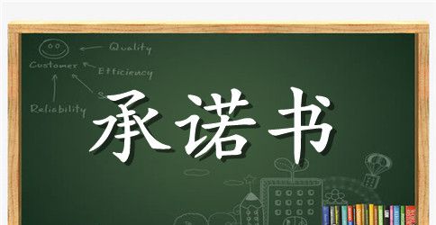 党建第一责任人承诺书