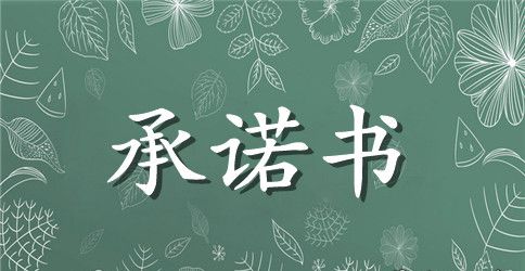 保险公司的承诺书范文