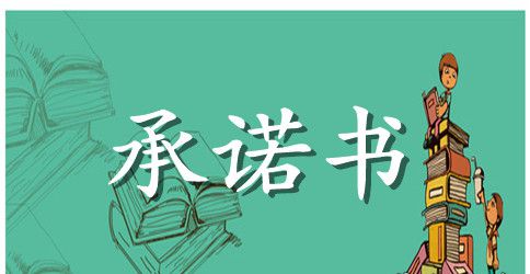 【精选】个人承诺书模板汇编十篇