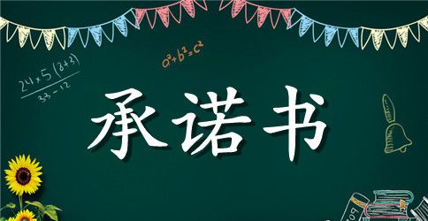 廉政承诺书范文汇编6篇