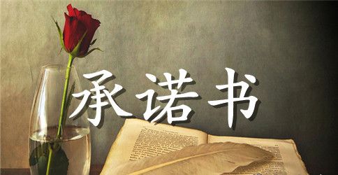 【必备】师德承诺书3篇