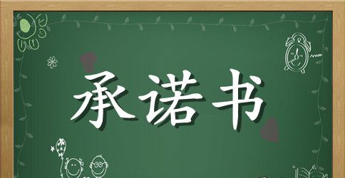 财务个人安全承诺书
