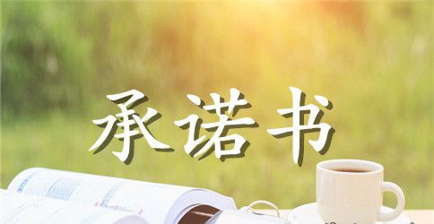公司保密承诺书合集五篇