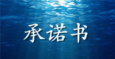 【精华】个人承诺书范文合集9篇
