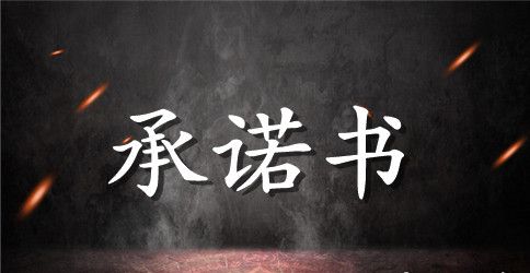 实用的个人承诺书锦集八篇